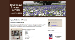 Desktop Screenshot of blubonnetprocessservice.com