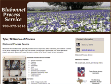 Tablet Screenshot of blubonnetprocessservice.com